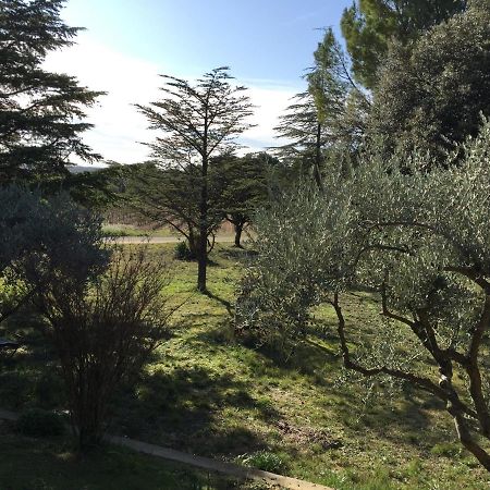 Maison calme Beaumes-de-Venise Esterno foto