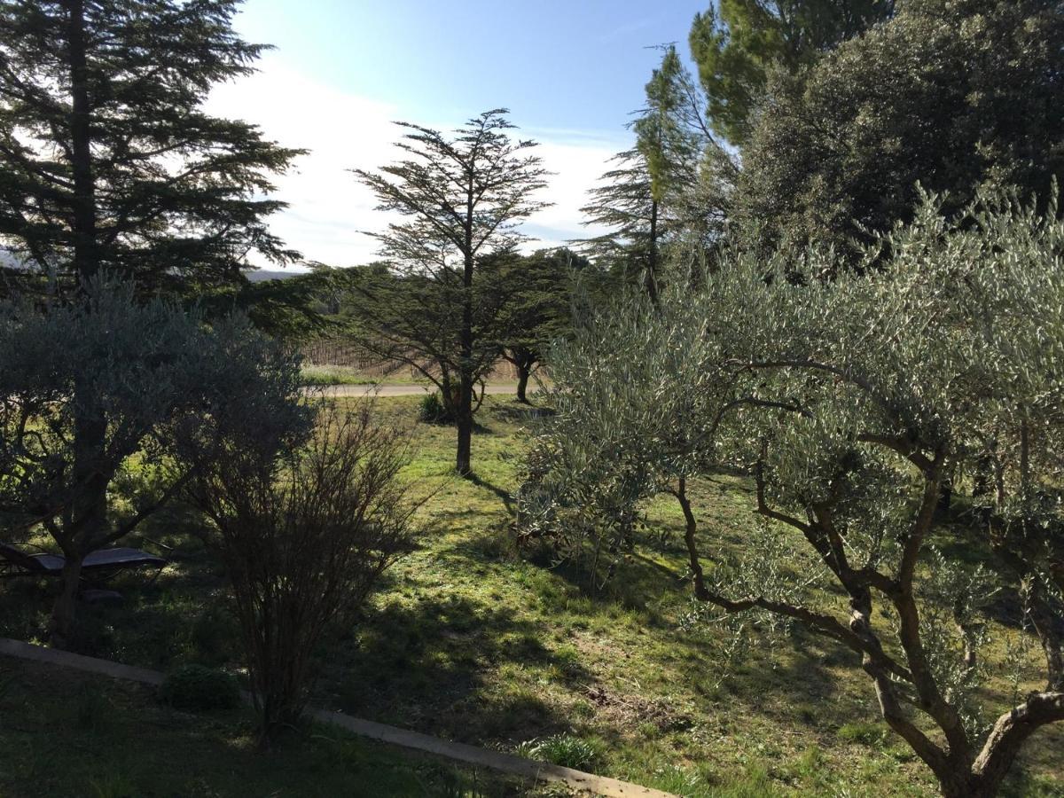 Maison calme Beaumes-de-Venise Esterno foto